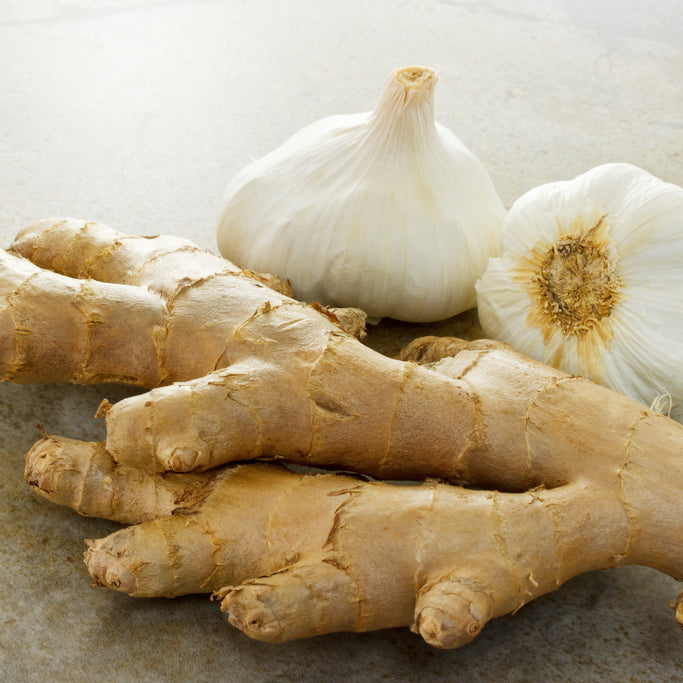 The Dynamic Duo: Ginger and Garlic