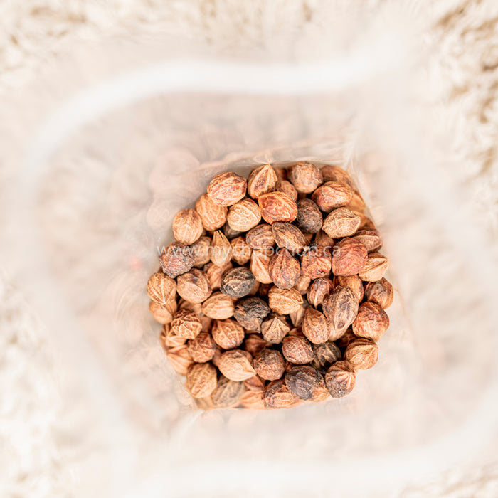 Umilo ( Nutmeg ) - 10g